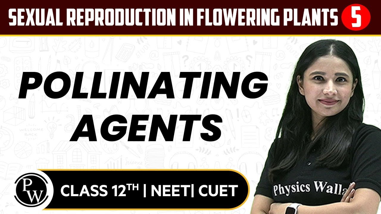 Sexual Reproduction in Flowering Plants 05 | Pollinating Agents | Pure English | 12th / NEET/CUET