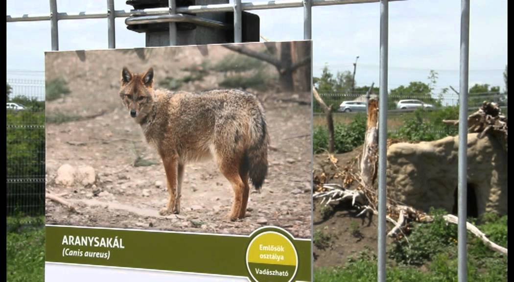 Tisza-tavi Ökocentrum