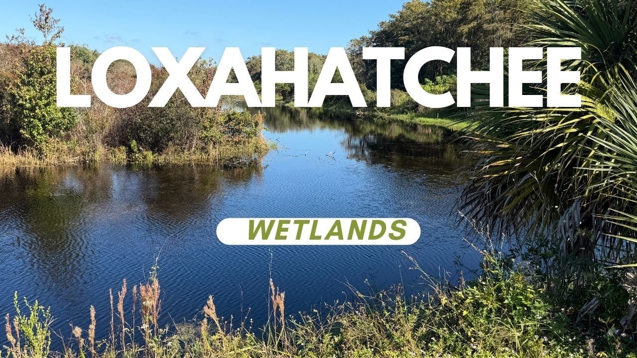 Loxahatchee Wetlands-Conservation and Hiking Trails