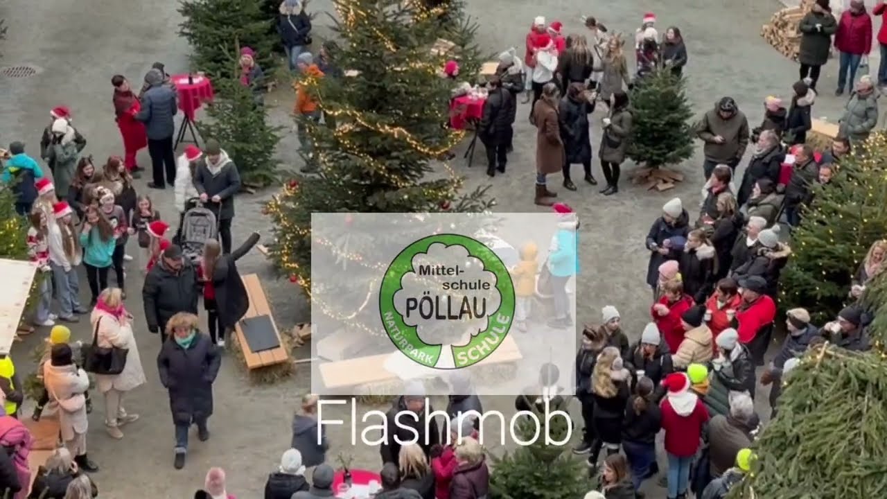Flashmob der Naturparkmittelschule Pöllau am Pöllauer Schlossadvent 2024