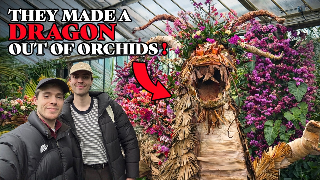 Exploring Europe's largest Orchid show!