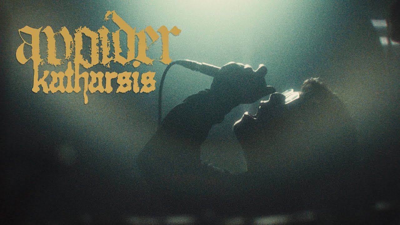 avoider - Katharsis (feat. Chris Zuehlke of Half Me) (OFFICIAL MUSIC VIDEO)