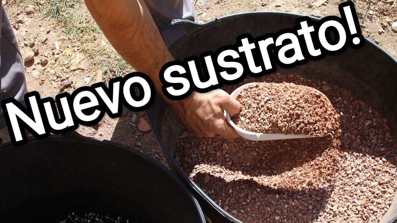 Nuevo sustrato para engorde