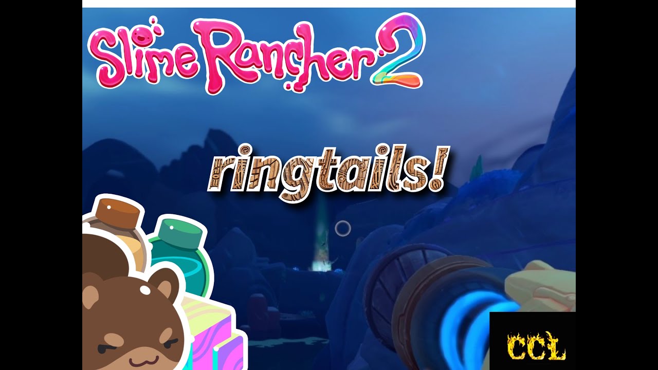 ringtails and upgrades!!