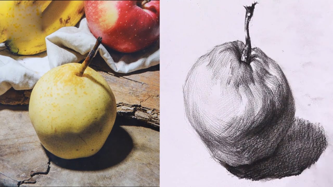 Learn to draw basics - Pear Drawing