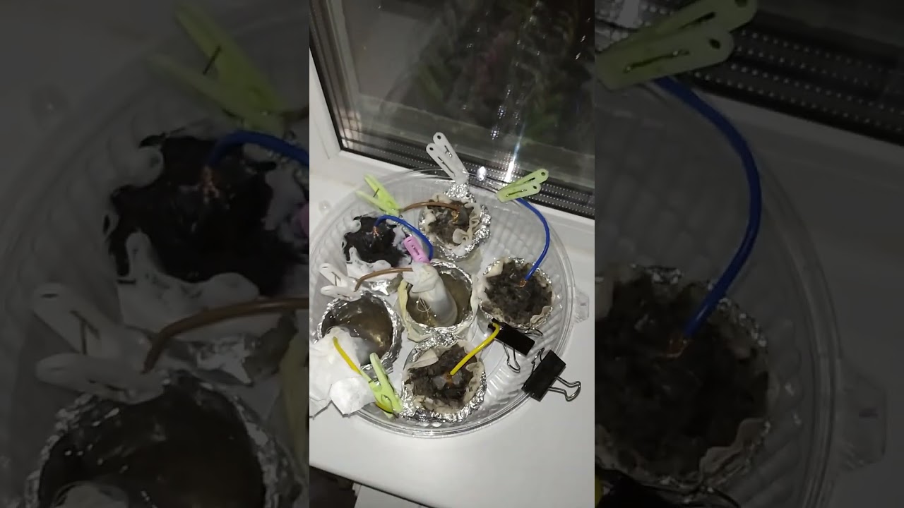 вечная батарейка на воде, она же химический источник тока из графита+алюминия+воды.