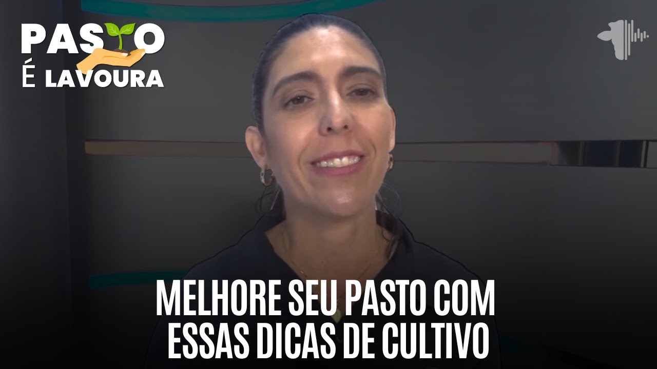 MELHORE SEU PASTO COM ESSAS DICAS DE CULTIVO | PASTO É LAVOURA