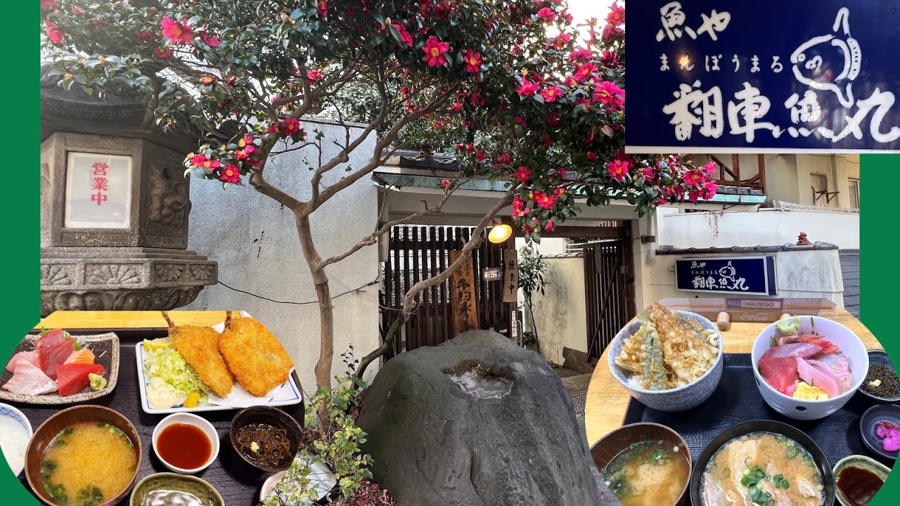 【湘南・横浜美味い店】「藤沢 翻車魚丸 新鮮魚料理で満腹！」 #藤沢 #魚 #翻車魚丸 #まんぼう丸 #shonan  #グルメ  #鮮魚料理 #藤沢の歩き方