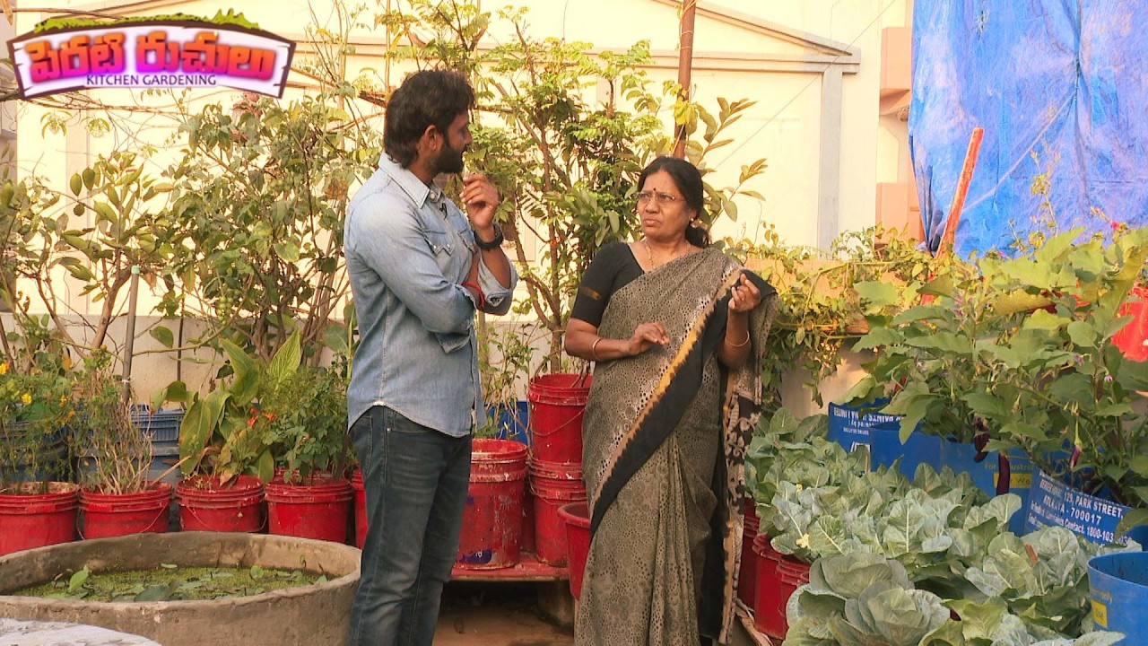 Perati Ruchulu | 14th Feb 2025 | Full Episode | ETV Abhiruchi
