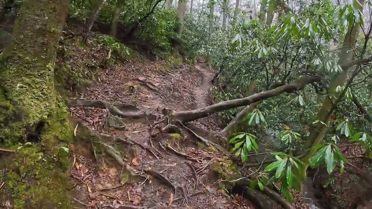 Rainy Day Waterfall Hike in the North Georgia Mountains in 4K
