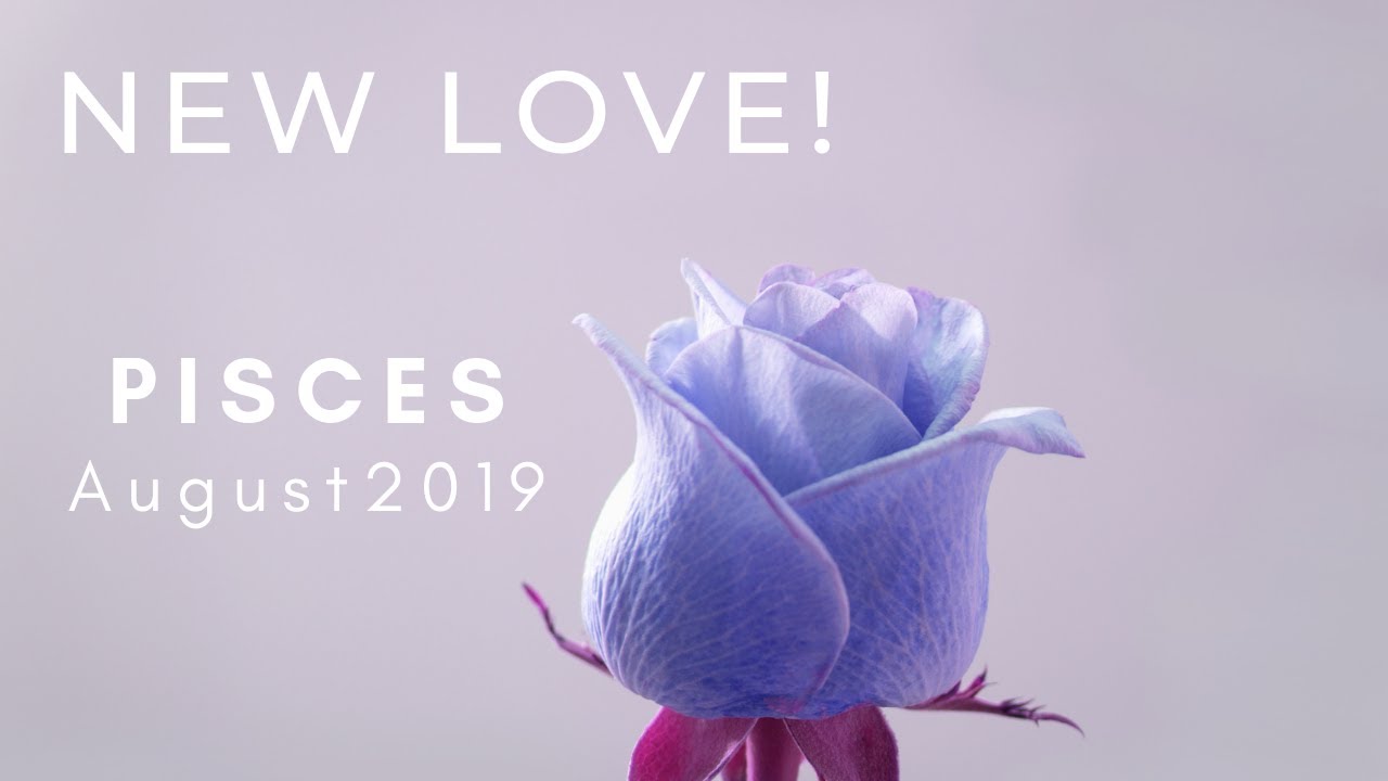 PISCES: New Love! August 2019
