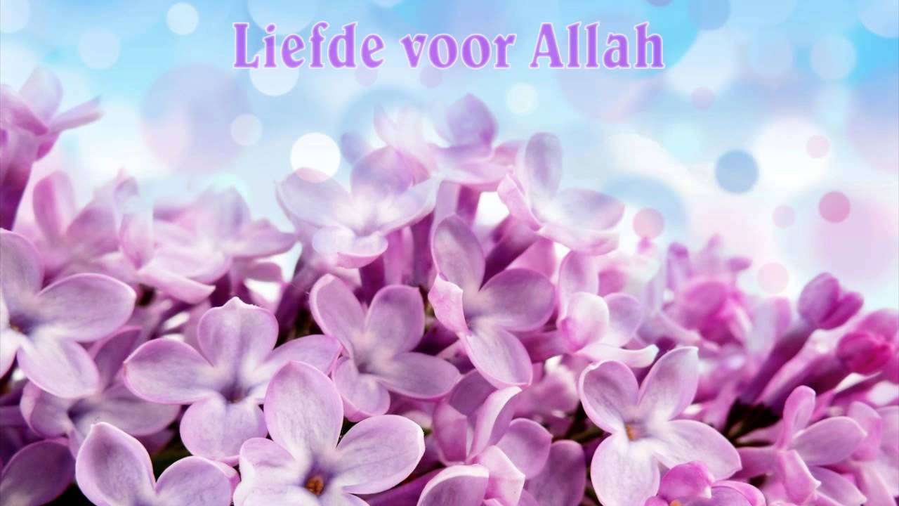 Islamitische lezing [Liefde voor Allah]