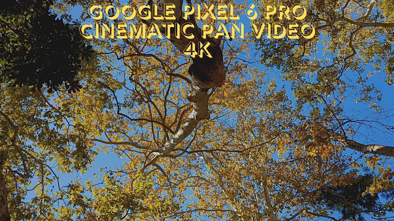 Google Pixel 6 Pro| Cinematic Pan| Cinematic Video| 4K| Sorta Sunny| Griffith Park| Los Angeles, CA