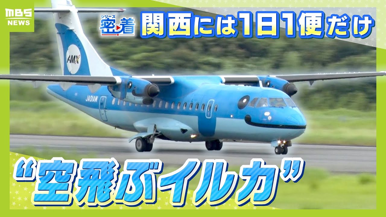 “空飛ぶイルカ”天草から関西に１日１便やってくるレア飛行機『みぞか号』　機内で“みぞか日記”をつける少年などファン多数「みんなの支えがあって元気に泳いでる」【ＭＢＳニュース特集】（2024年9月6日）
