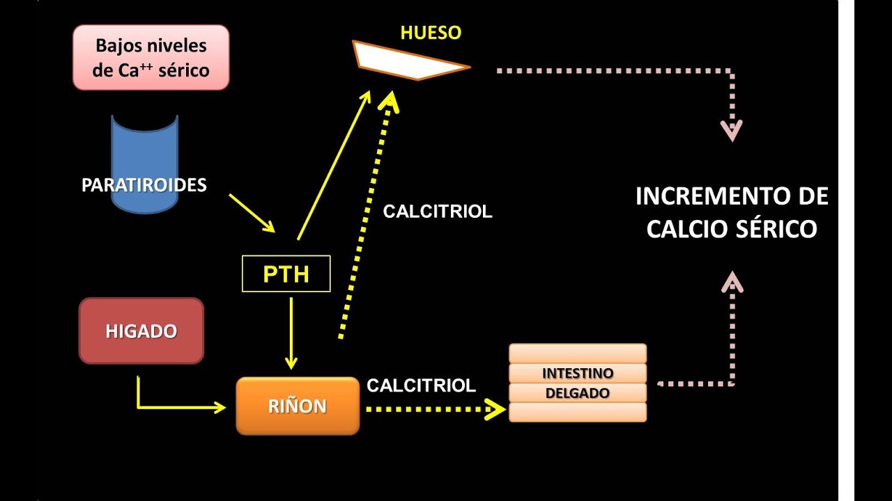 Minerales: Calcio