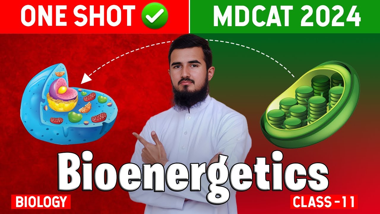 Master Bioenergetics In One SHOT Video - Complete Chapter As Per Pmc Syllabus 2024|By Sir Samiullah