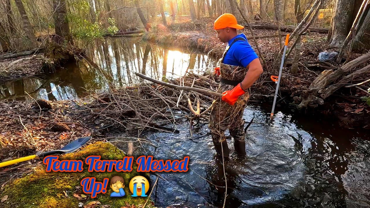 Beaver Dam Removal! || We Gave The Beavers Ammunition In Gator Creek! 🤦‍♂️😅