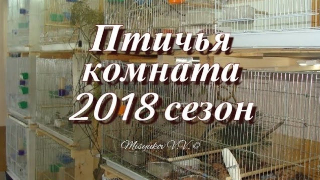 Моя коллекция птиц 25.12.17. Breeding birdroom