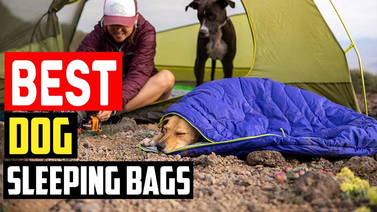 ✅Top 5 Best Dog Sleeping Bags in 2025