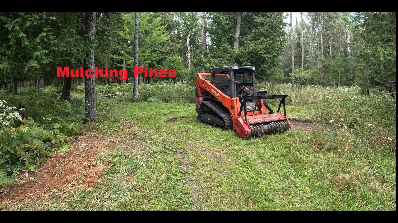 Mulching Pine Trees with the KUBOTA SVL 75-3 and FECON RK6015