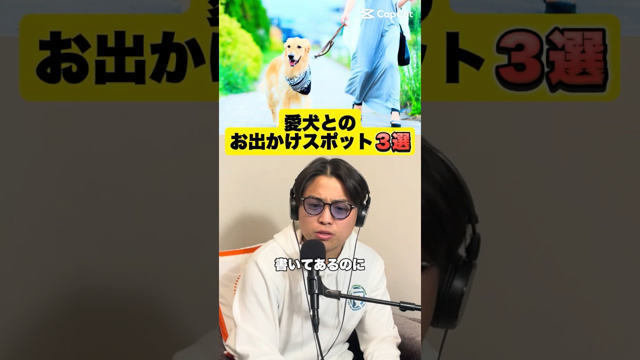 本当にワンちゃんと楽しめる都内神スポット3選