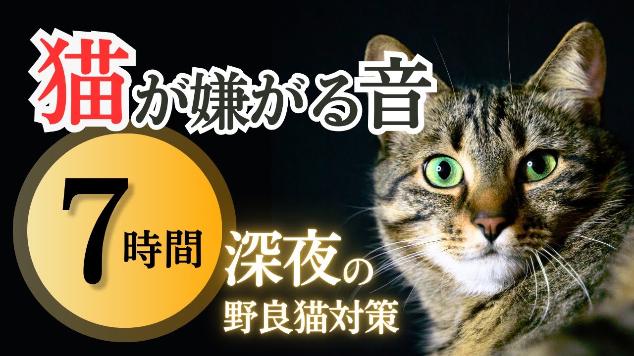 猫が嫌がる音(7時間)。深夜の野良猫対策。猫の宅地侵入、鳴き声、糞尿にお困りの方へ