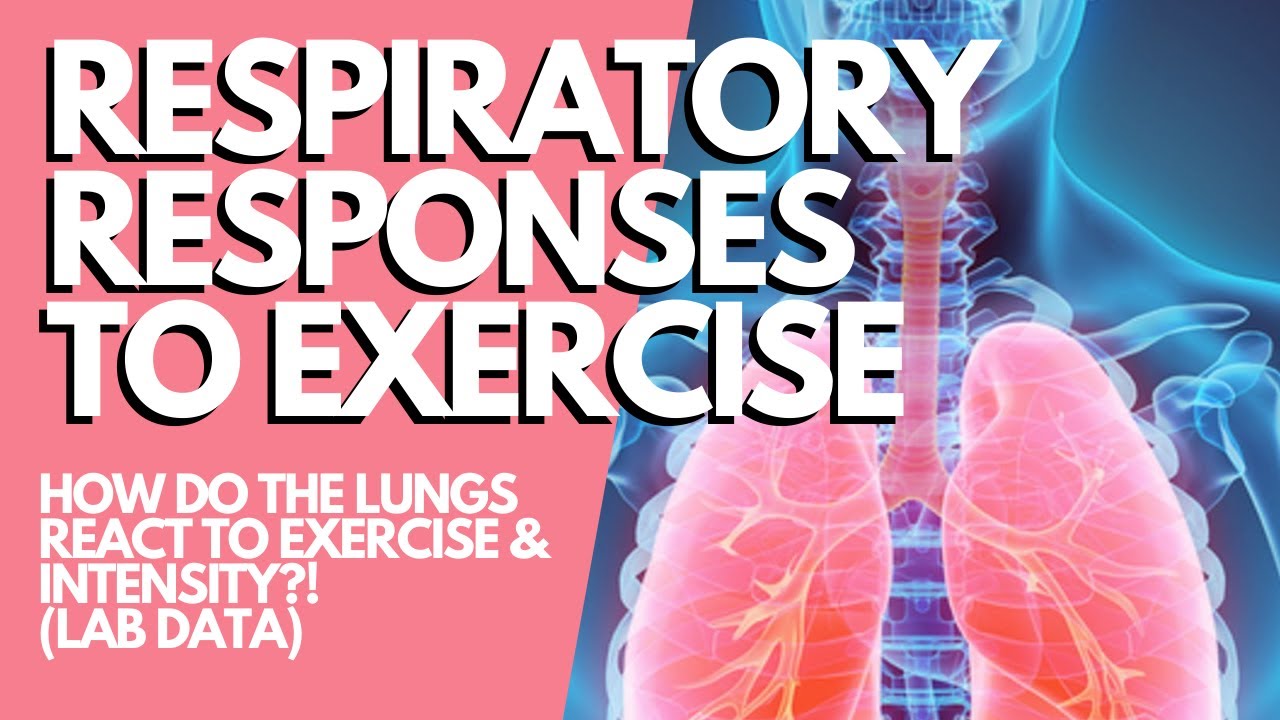 RESPIRATORY RESPONSES TO EXERCISE: How Our Breathing Changes with Exercise Intensity
