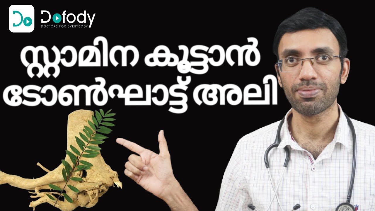 സ്റ്റാമിന കൂട്ടാന്&zwj; 🐎 Meet Tongkat ali, the Supplement for ED & Low Testosterone  🩺 Malayalam
