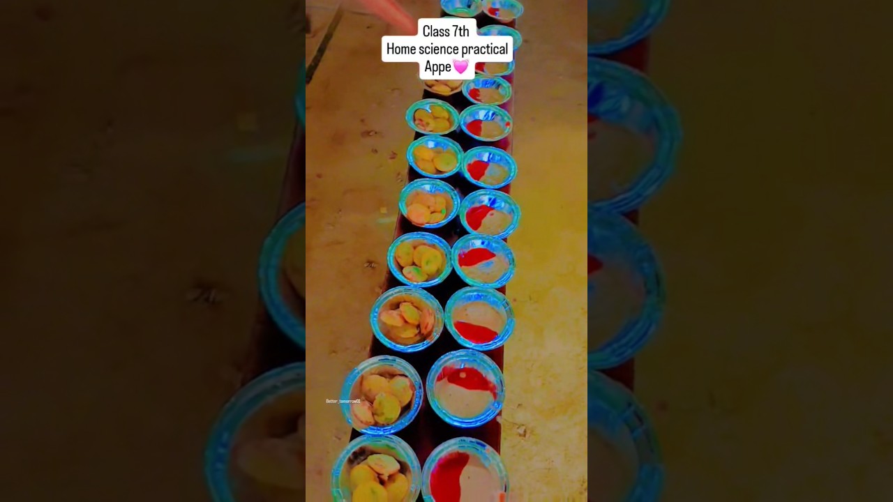 Appe, Cutlet, chowmene Food practical in school | 