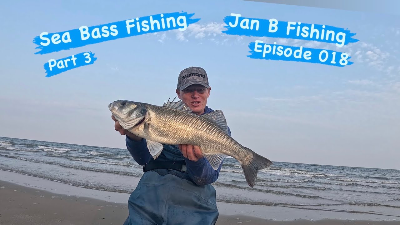 Sea Bass Fishing (Part 3)