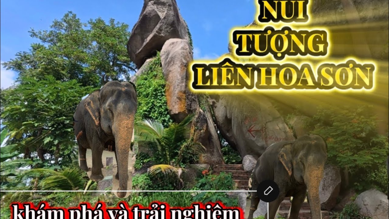 Ngọn Núi Thiêng Lịch Sử- Núi Tượng (Liên Hoa Sơn) An Giang #angiang #travel  #dulichtamlinh