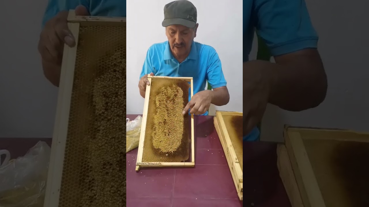 طريقة ثانية لتقديم حبوب اللقاح للنحل
