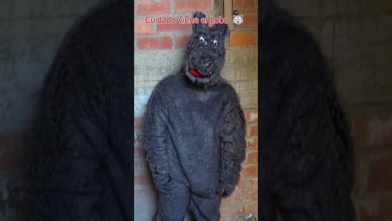 El lobo quiere comer gallo #gallos #gallinas #funnyshorts