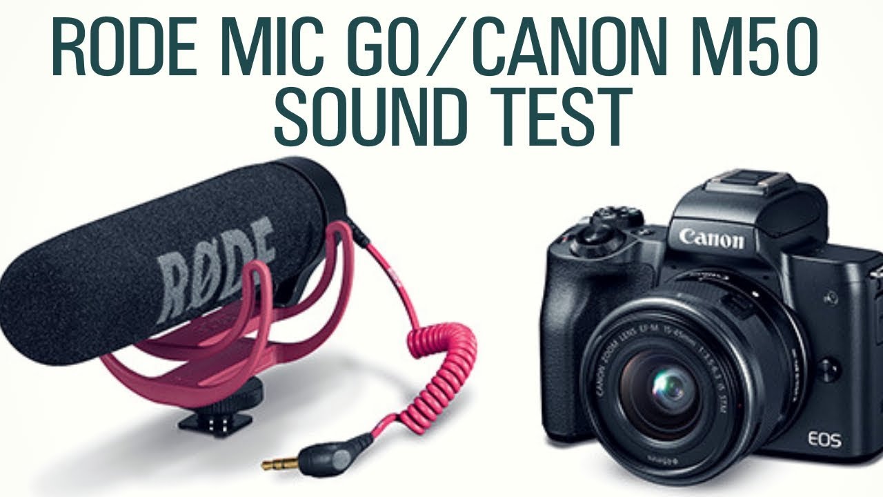 Canon M50 & Rode Video Mic Go: Sound Test