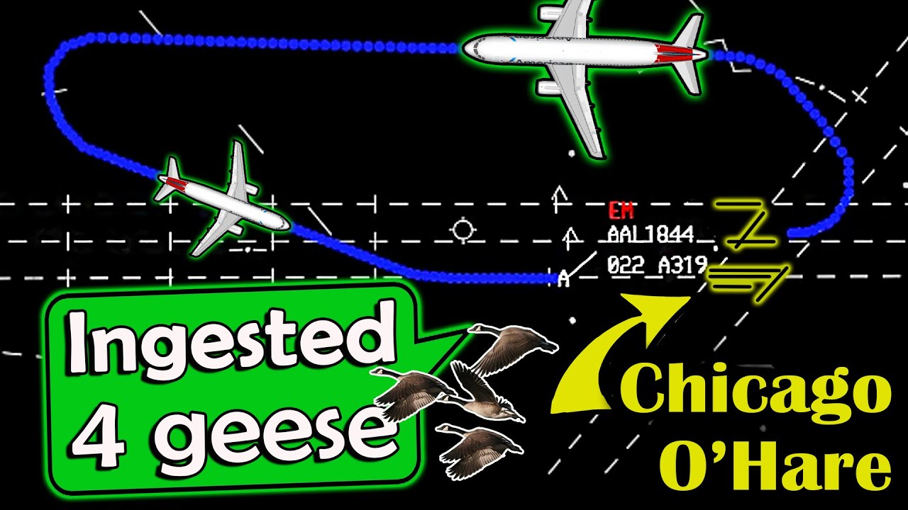 American A319 has BIRD STRIKE ON TAKEOFF | Emergency Returns
