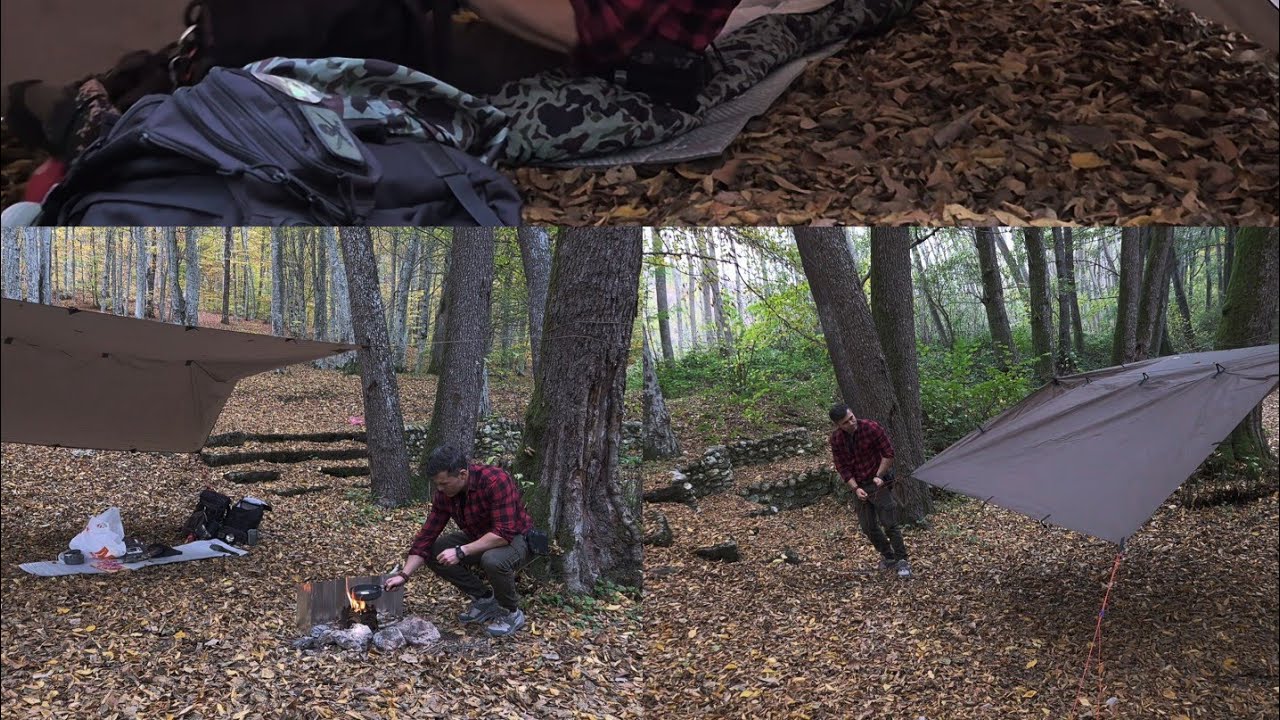 Ormanda Sonbahar Kampı: Tarp, Ateş Kutusu ve Kuş Sesleri | Fall Forest Camping & Fire Box Doğa Orman