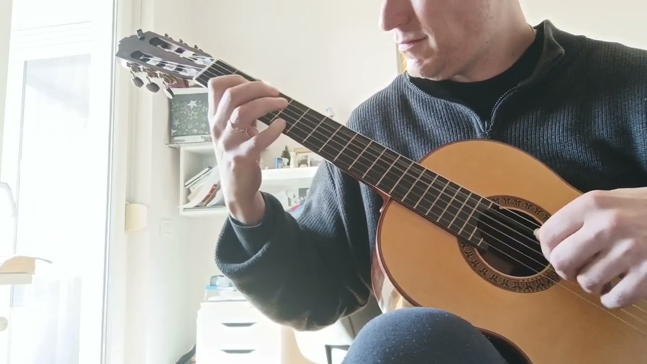Amira Medunjanin - Pjevat ćemo što nam srce zna, solo gitara cover, fingerstyle