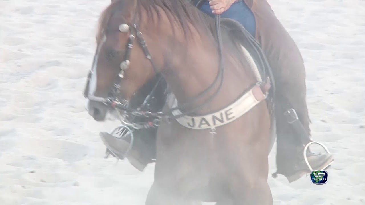 redeas vaquejada aprendendo a ladear o cavalo