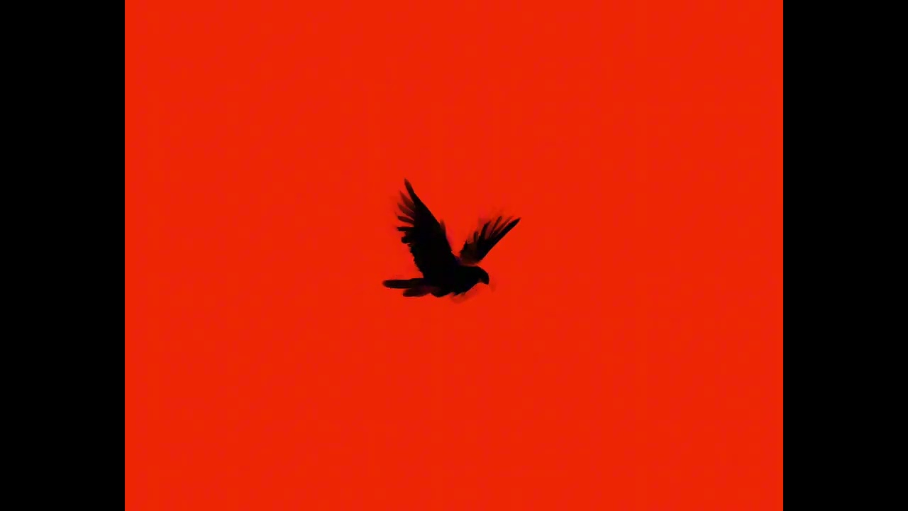 CORVO - Itachi | Dumon