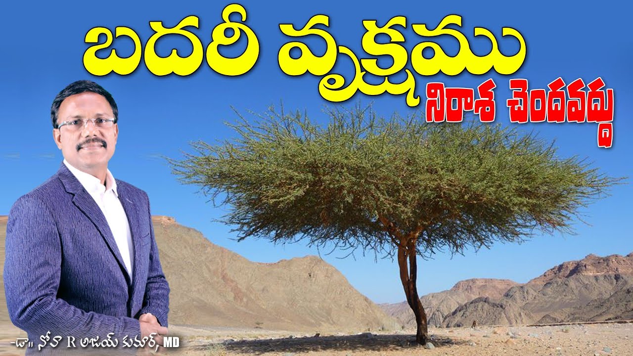 బదరీ వృక్షము నిరాశ చెందవద్దు  - SUNDAY SECOND SERVICE - Dr. Noah
