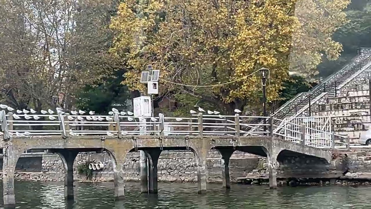 Βαρκάδα στη Λίμνη Καστοριάς