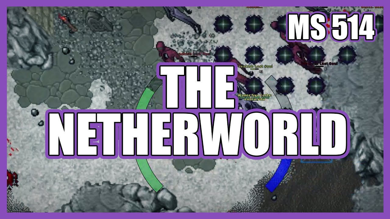 The Netherworld (Flimsy PH) SOLO MS 514 | 7,2kk RAW & 600k Profit