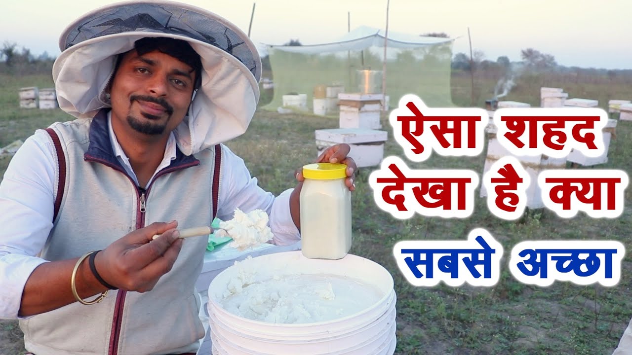 भारत का सबसे अच्छा शहद, रोग ठीक होंगे, सेहत बनेगी || Technical Farming ||