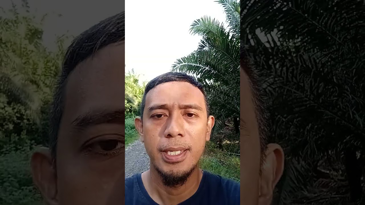 Jalan Pagi melewati ribuan Pohon sawit