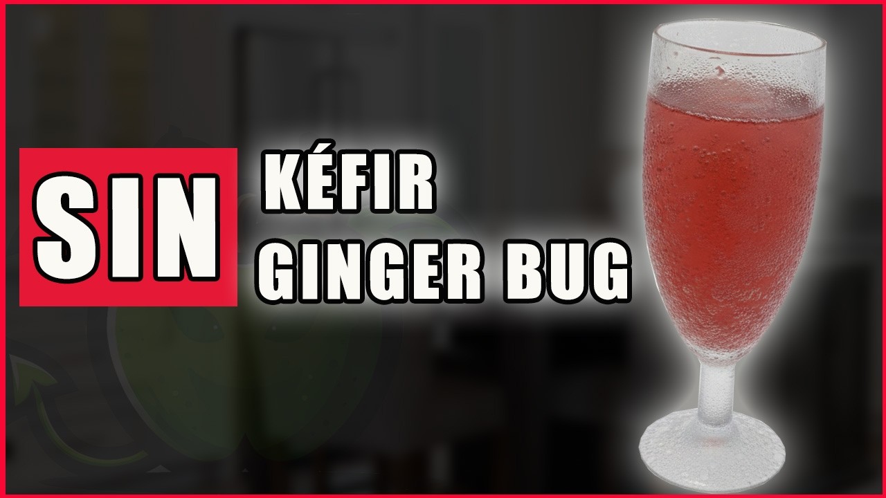 🥤SODA de MORAS e HIGOS - El refresco vivo que te cuida por dentro