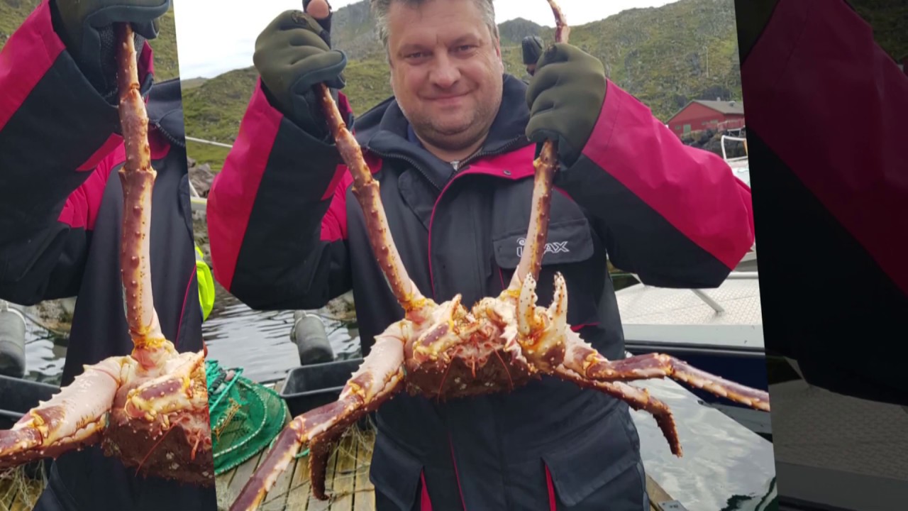 Angeln am Nordkap Kamoyvär Juli 2019