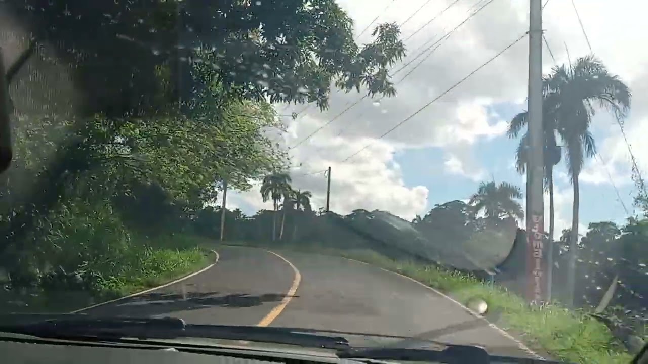 Mi primera vez de la vida en sabana de la mar