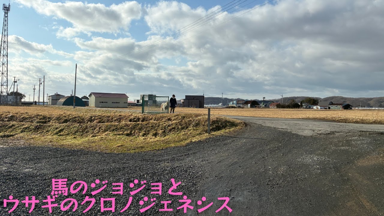 ちびっこに絡まれるミニチュアホース