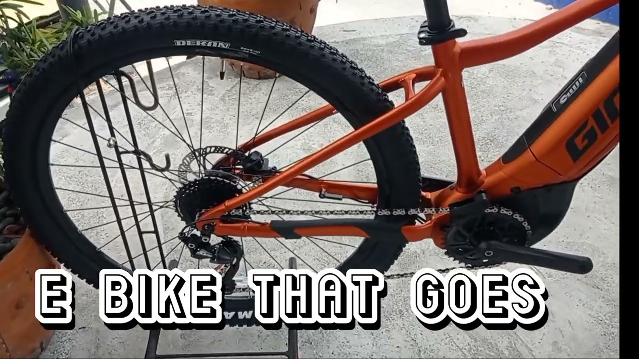 Giant Electric Bike :Talon 29 E + 2 29 Mountain Bike