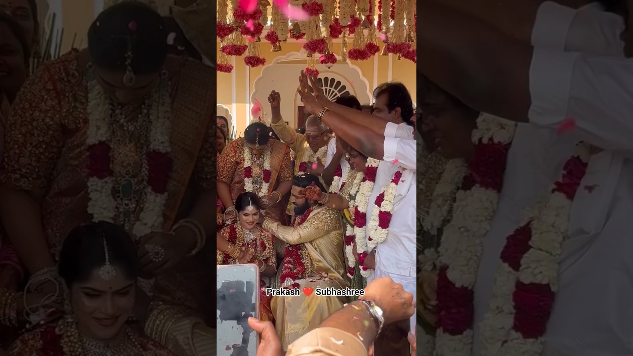 PA KS Family wedding #pafamily #wedding #trending #rajasthan